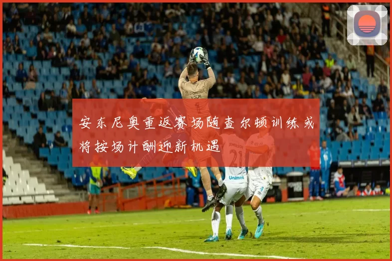 安东尼奥重返赛场随查尔顿训练或将按场计酬迎新机遇